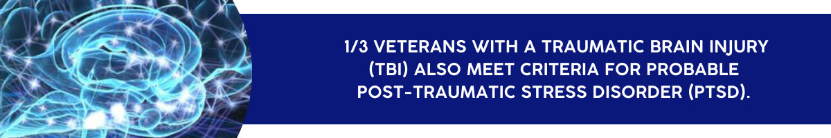 1/3 Veterans with a traumatic brain injury also meet criteria for probably post-traumatic stress disorder PTSD)
