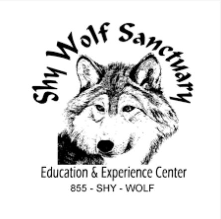 Home Base Florida Adventure Series: Shy Wolf Sanctuary